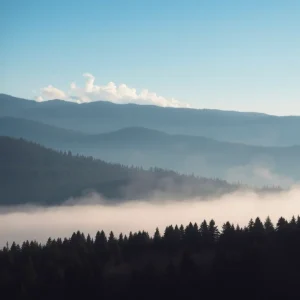 Profile Spartanburg SC