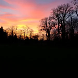 Profile Spartanburg SC