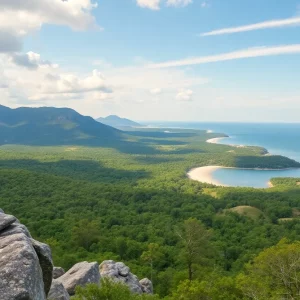 Profile Spartanburg SC