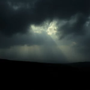 Profile Spartanburg SC