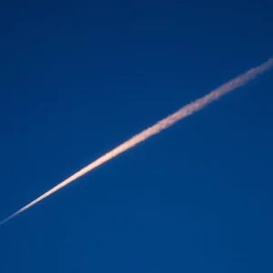 Profile Spartanburg SC