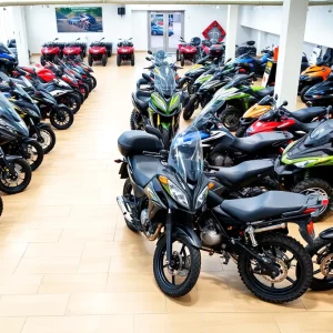 Profile Spartanburg SC