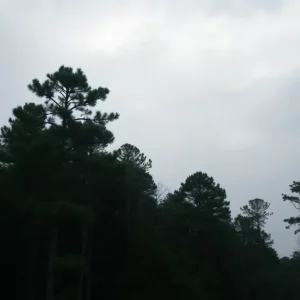 Profile Spartanburg SC