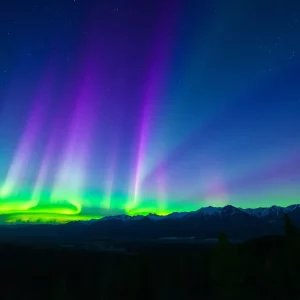 Profile Spartanburg SC