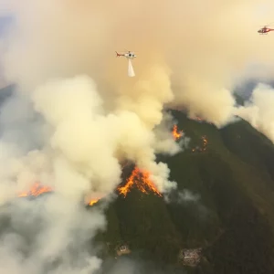 Profile Spartanburg SC