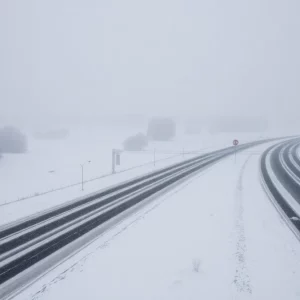 Profile Spartanburg SC