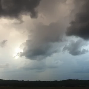 Profile Spartanburg SC