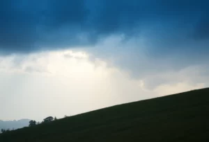 Profile Spartanburg SC