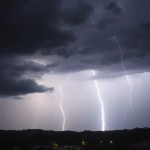 Profile Spartanburg SC