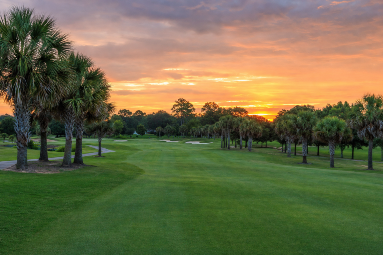 Palmetto Hills Golf Club