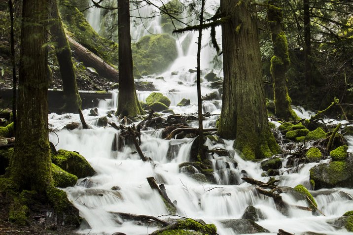 Waterfall and creek in a forest